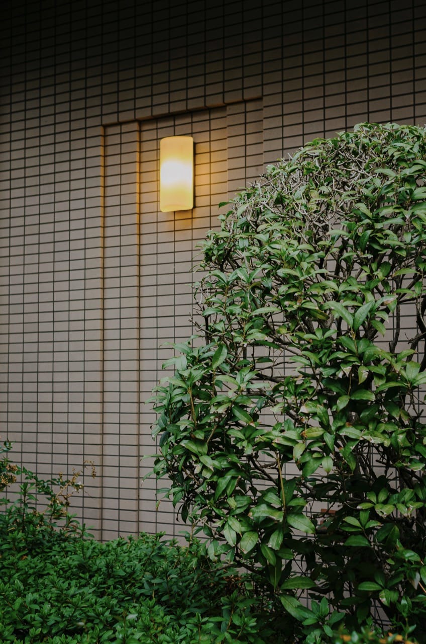 Превью Osaka 2024